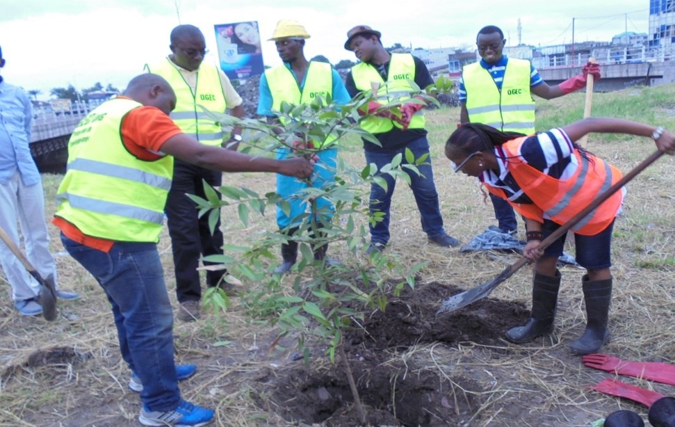 Plantation d'arbres OGEC